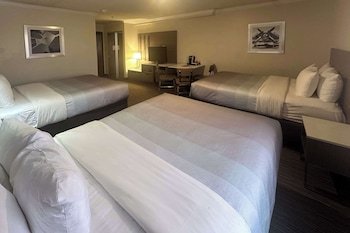 Quality Inn & Suites Los Angeles Airport – LAX, Los Angeles, thumbnail 6